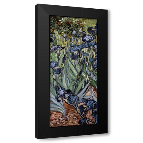 Irises (center) Black Modern Wood Framed Art Print by Van Gogh, Vincent