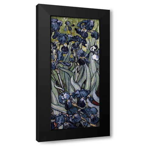 Irises (right) Black Modern Wood Framed Art Print with Double Matting by Van Gogh, Vincent