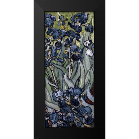 Irises (right) Black Modern Wood Framed Art Print by Van Gogh, Vincent