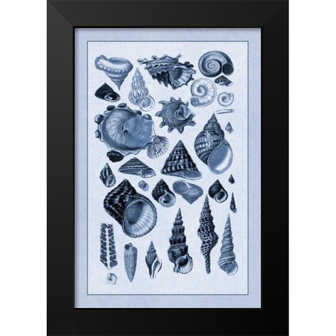 Shells: Trachelipoda #3 (Blue) Black Modern Wood Framed Art Print by Sowerby, G.B.