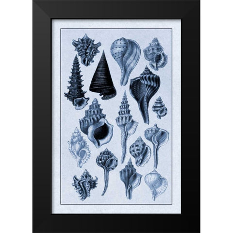 Shells: Trachelipoda #4 (Blue) Black Modern Wood Framed Art Print by Sowerby, G.B.