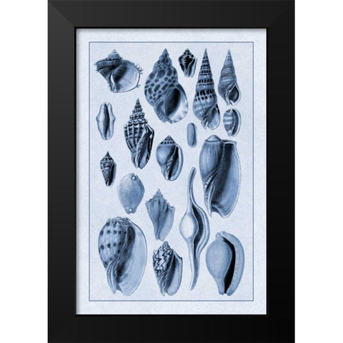 Shells: Trachelipoda #6 (Blue) Black Modern Wood Framed Art Print by Sowerby, G.B.