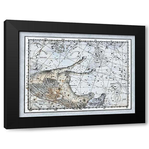 Maps of the Heavens: Pegasus the Horse Black Modern Wood Framed Art Print with Double Matting by Jamieson, Alexander