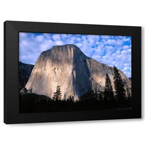 El Capitan rising over the forest, Yosemite National Park, California Black Modern Wood Framed Art Print by Fitzharris, Tim