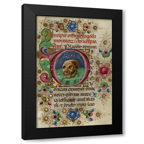 Initial D: A Skull in a Rocky Field Black Modern Wood Framed Art Print by Crivetti, Taddeo