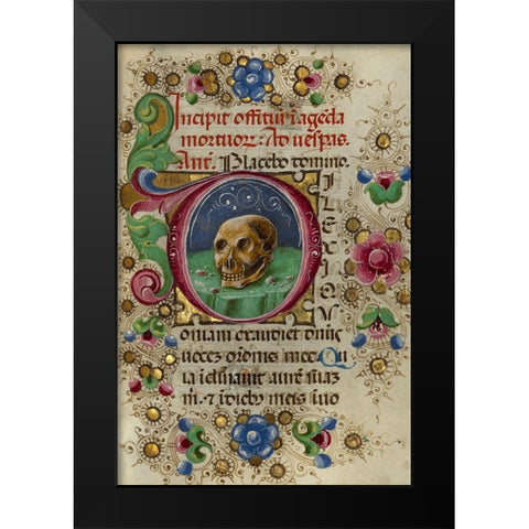 Initial D: A Skull in a Rocky Field Black Modern Wood Framed Art Print by Crivetti, Taddeo