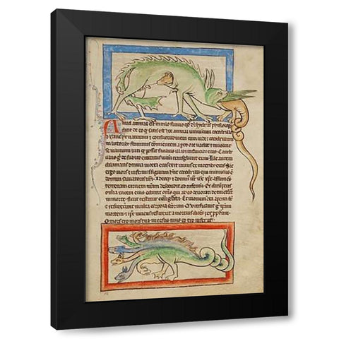 A Hydrus; A Hydra Black Modern Wood Framed Art Print by English 13th Century