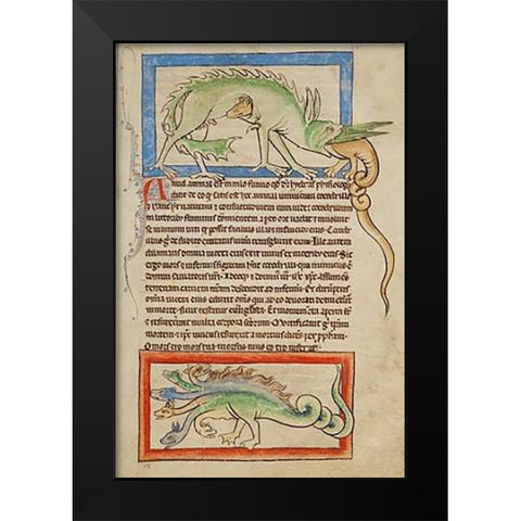 A Hydrus; A Hydra Black Modern Wood Framed Art Print by English 13th Century
