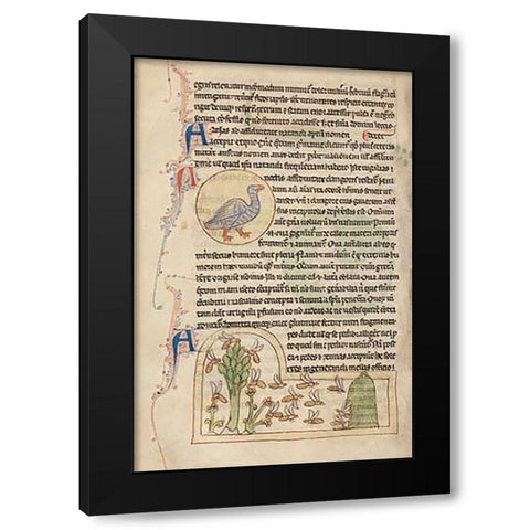 A Duck; Bees Black Modern Wood Framed Art Print with Double Matting by English 13th Century