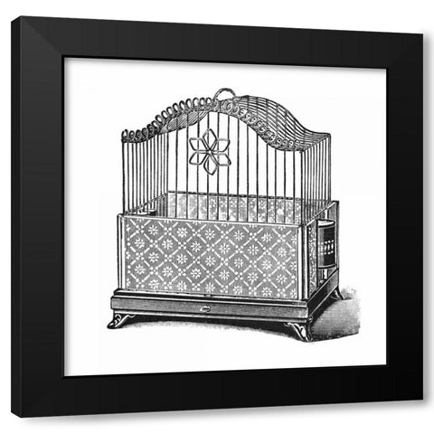 Etchings: Birdcage - Flower detail. Black Modern Wood Framed Art Print with Double Matting by Catalog Illustration