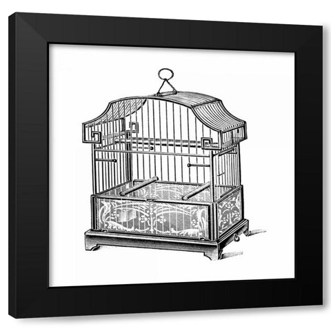 Etchings: Birdcage - Gable top, floral base. Black Modern Wood Framed Art Print with Double Matting by Catalog Illustration