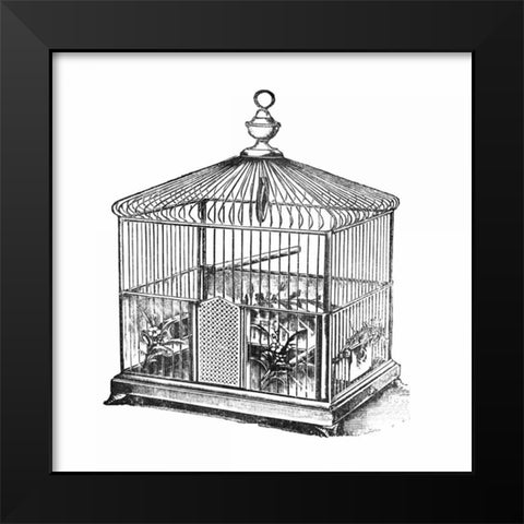 Etchings: Birdcage - Onion peak top, floral base. Black Modern Wood Framed Art Print by Catalog Illustration