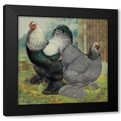 Chickens: Dark Brahmas Black Modern Wood Framed Art Print by Wright, Lewis