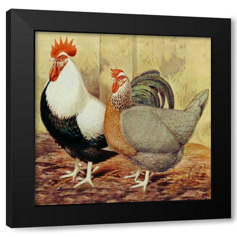 Chickens: Silver-Grey Dorkings Black Modern Wood Framed Art Print with Double Matting by Wright, Lewis