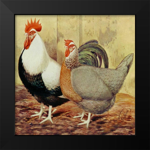Chickens: Silver-Grey Dorkings Black Modern Wood Framed Art Print by Wright, Lewis