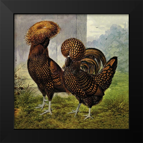 Chickens: Gold Spangled Polish Black Modern Wood Framed Art Print by Wright, Lewis