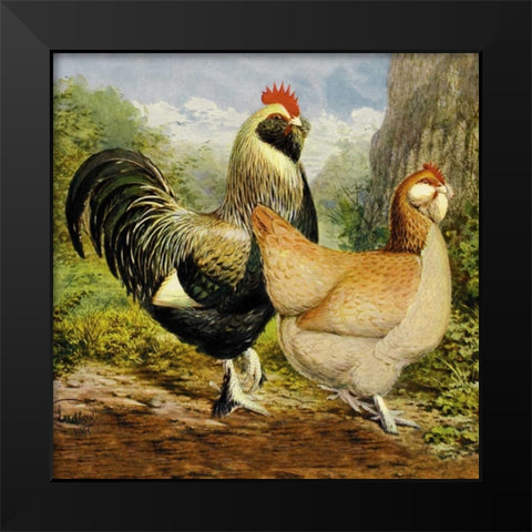 Chickens: Salmon Faverolles Black Modern Wood Framed Art Print by Wright, Lewis
