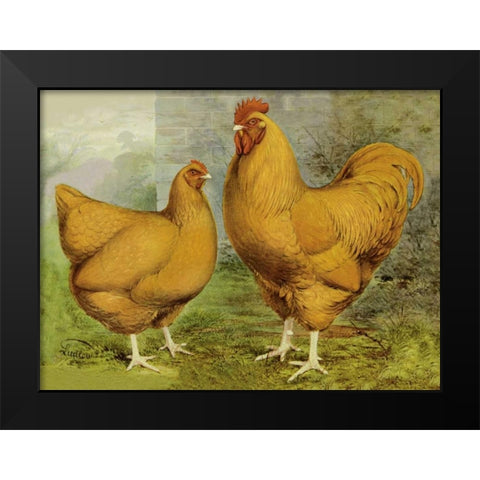 Chickens: Buff Orpingtons Black Modern Wood Framed Art Print by Wright, Lewis