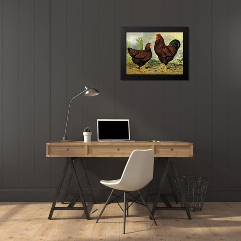 Chickens: Golden Wyandottes Black Modern Wood Framed Art Print by Wright, Lewis