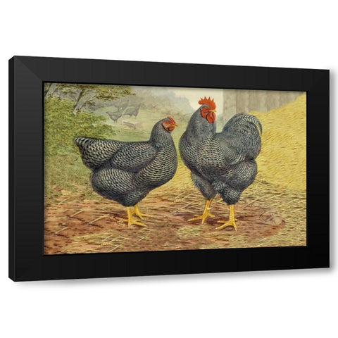 Chickens: Plymouth Rocks Black Modern Wood Framed Art Print by Wright, Lewis