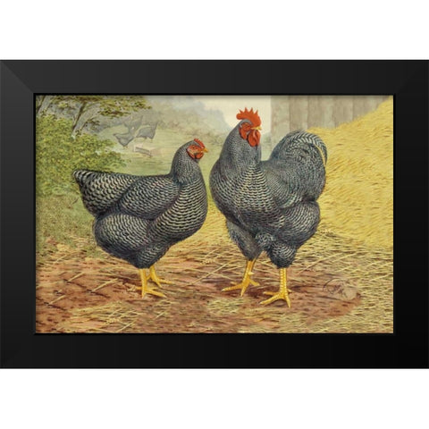 Chickens: Plymouth Rocks Black Modern Wood Framed Art Print by Wright, Lewis