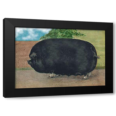Pigs and Pork: Champion Sow Black Modern Wood Framed Art Print with Double Matting by Advertisement