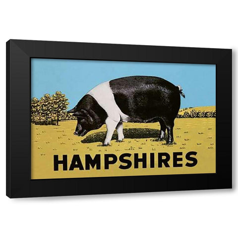 Pigs and Pork: Hampshires Black Modern Wood Framed Art Print by Advertisement