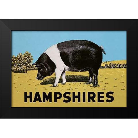 Pigs and Pork: Hampshires Black Modern Wood Framed Art Print by Advertisement