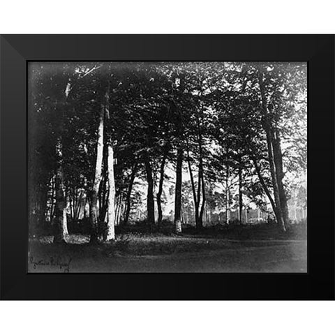 Fontainebleau, 1849 - Study of Trees and Pathways Black Modern Wood Framed Art Print by Le Gray, Gustave