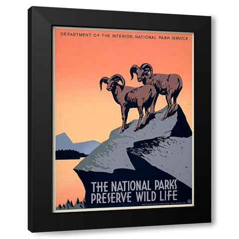 The National Parks Preserve Wild Life, ca. 1936-1939 Black Modern Wood Framed Art Print by Hirt, J.