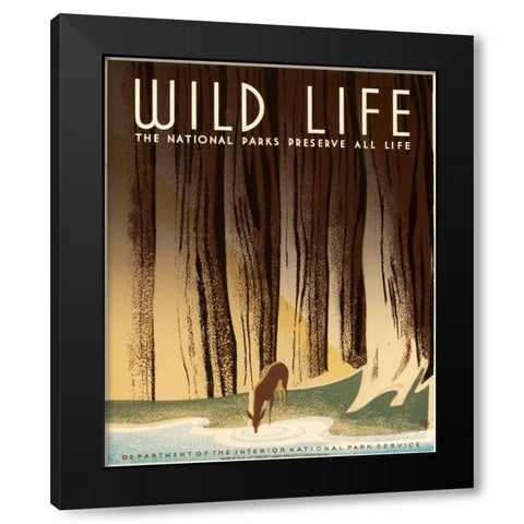 Wild Life; The National Parks Preserve All Life, ca. 1936-1940 Black Modern Wood Framed Art Print with Double Matting by Nicholson, Frank S.