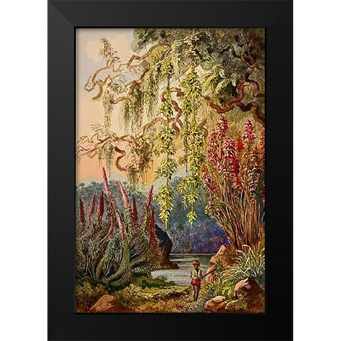 Nillu-Busche und Hangebambusen Hochland von Ceylon Black Modern Wood Framed Art Print by Haeckel, Ernst