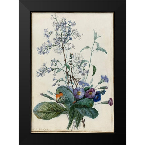 A Bouquet of Flowers with Insects Black Modern Wood Framed Art Print by Redoute, Pierre Joseph
