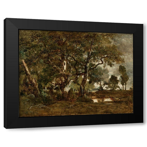Forest of Fontainebleau, Cluster of Tall Trees Overlooking the Plain of Clair-Bois at the Edge of Ba Black Modern Wood Framed Art Print with Double Matting by Rousseau, Theodore