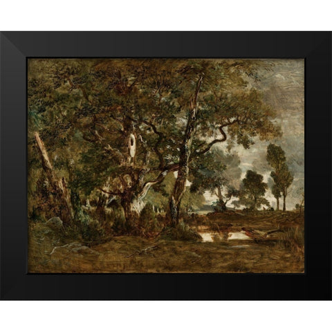Forest of Fontainebleau, Cluster of Tall Trees Overlooking the Plain of Clair-Bois at the Edge of Ba Black Modern Wood Framed Art Print by Rousseau, Theodore