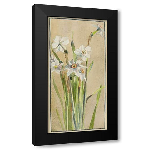 White Narcissus with Gray Accents Black Modern Wood Framed Art Print with Double Matting by Overbeck, Hannah Borger