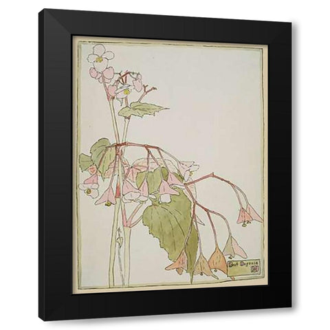 Beef Begonia Black Modern Wood Framed Art Print with Double Matting by Overbeck, Hannah Borger