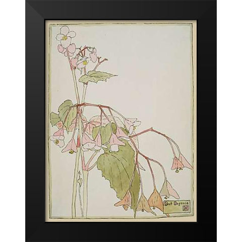 Beef Begonia Black Modern Wood Framed Art Print by Overbeck, Hannah Borger