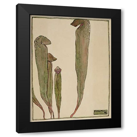 Pitcher Plant Black Modern Wood Framed Art Print with Double Matting by Overbeck, Hannah Borger