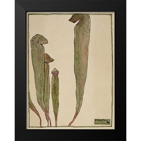 Pitcher Plant Black Modern Wood Framed Art Print by Overbeck, Hannah Borger
