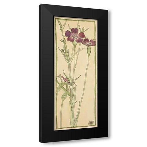 Corn Cockle Black Modern Wood Framed Art Print by Overbeck, Hannah Borger