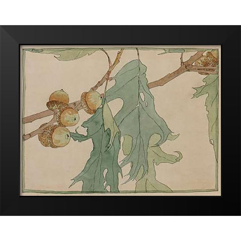 Oak/Acorns Black Modern Wood Framed Art Print by Overbeck, Hannah Borger