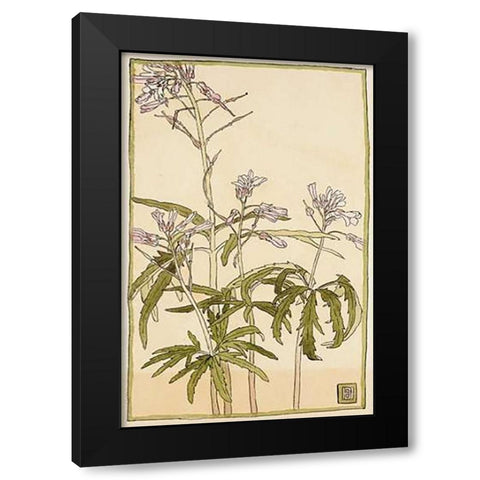 Pink Flowers with Spiky Green Leaves Black Modern Wood Framed Art Print by Overbeck, Hannah Borger