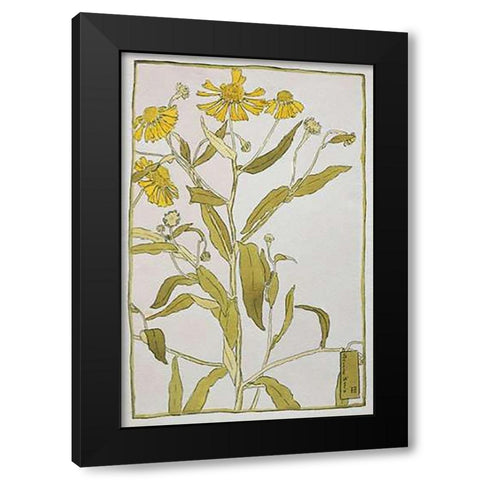 Sneeze Weed Black Modern Wood Framed Art Print with Double Matting by Overbeck, Hannah Borger