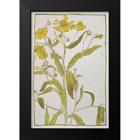 Sneeze Weed Black Modern Wood Framed Art Print by Overbeck, Hannah Borger