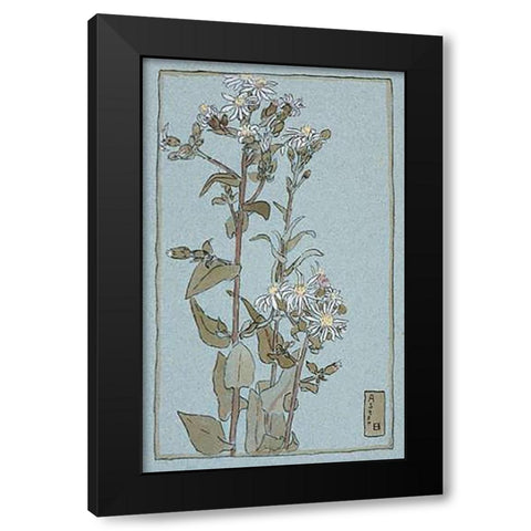 Aster on Green Ground Black Modern Wood Framed Art Print by Overbeck, Hannah Borger