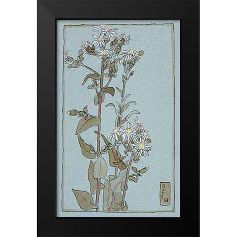 Aster on Green Ground Black Modern Wood Framed Art Print by Overbeck, Hannah Borger