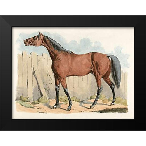 Dark-Brown Horse, 1817 Black Modern Wood Framed Art Print by Alken, Henry Thomas