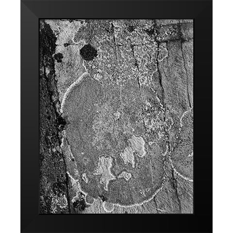 Lichons, Glacier National Park, Montana - National Parks and Monuments, 1941 Black Modern Wood Framed Art Print by Adams, Ansel