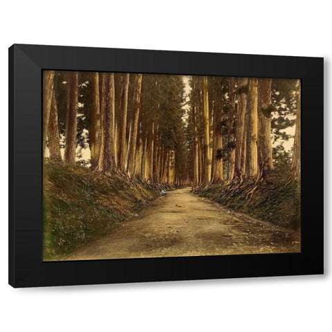 View of Imaichi Black Modern Wood Framed Art Print by 19th Century Japanese Photographer